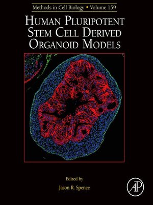 cover image of Human Pluripotent Stem Cell Derived Organoid Models